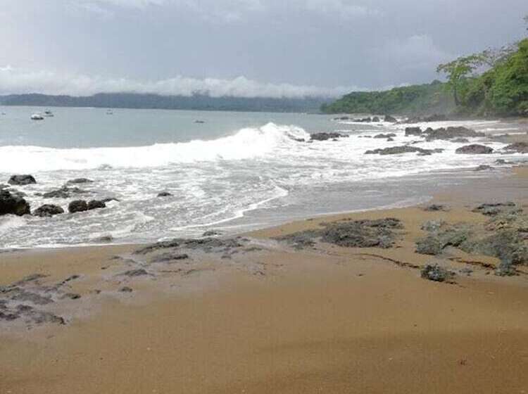 فندق Garden Of Heliconias Lodge