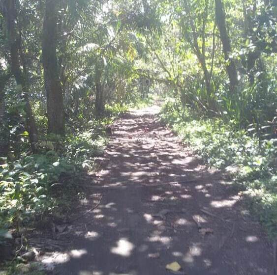 호텔 Green Gold Ecolodge