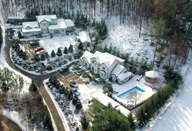 酒店 Greenhill Pension