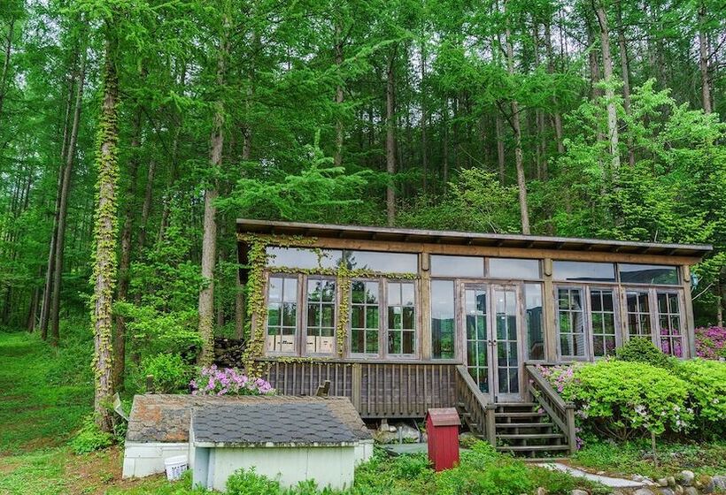 酒店 Greenhill Pension