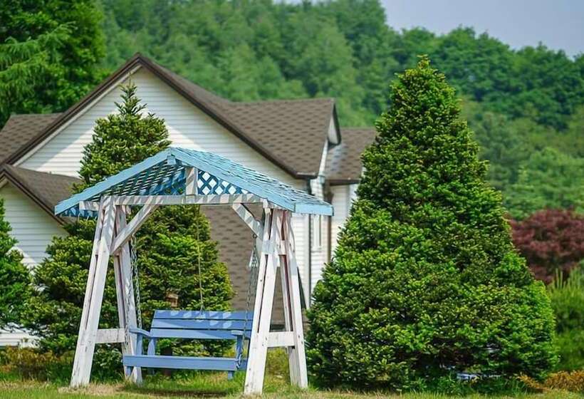 酒店 Greenhill Pension