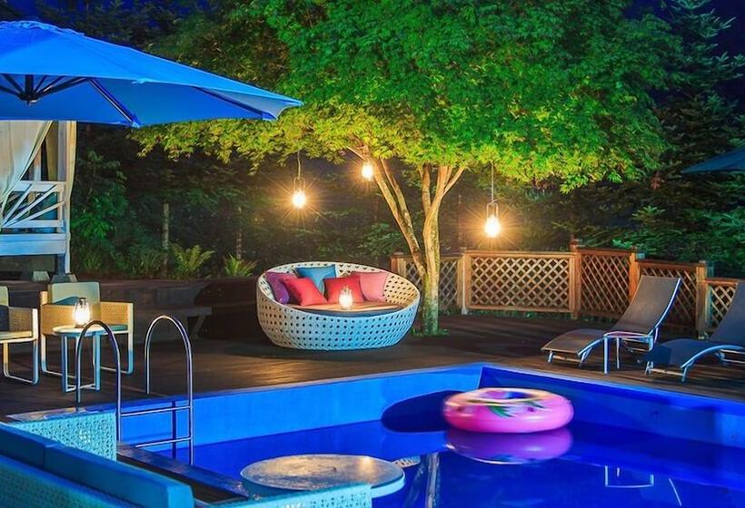 酒店 Greenhill Pension