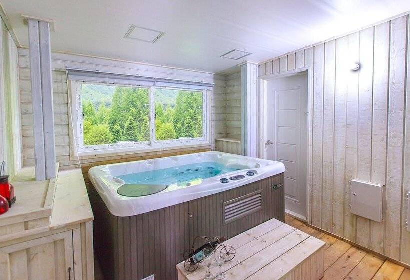 酒店 Greenhill Pension