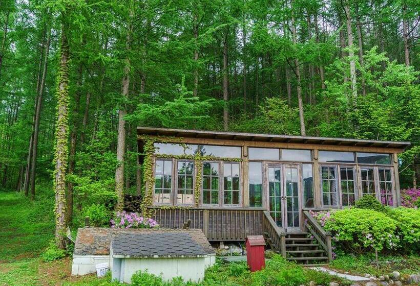 酒店 Greenhill Pension