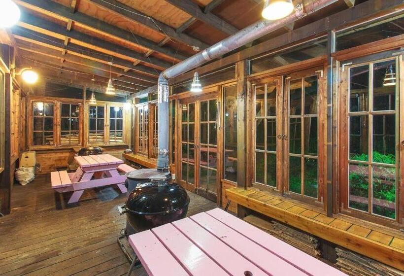 酒店 Greenhill Pension