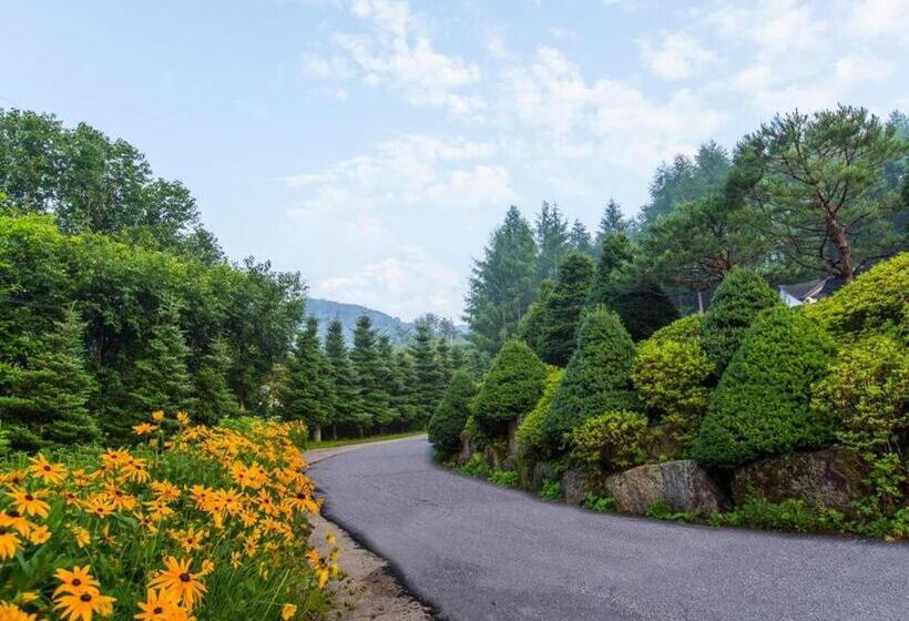 酒店 Greenhill Pension