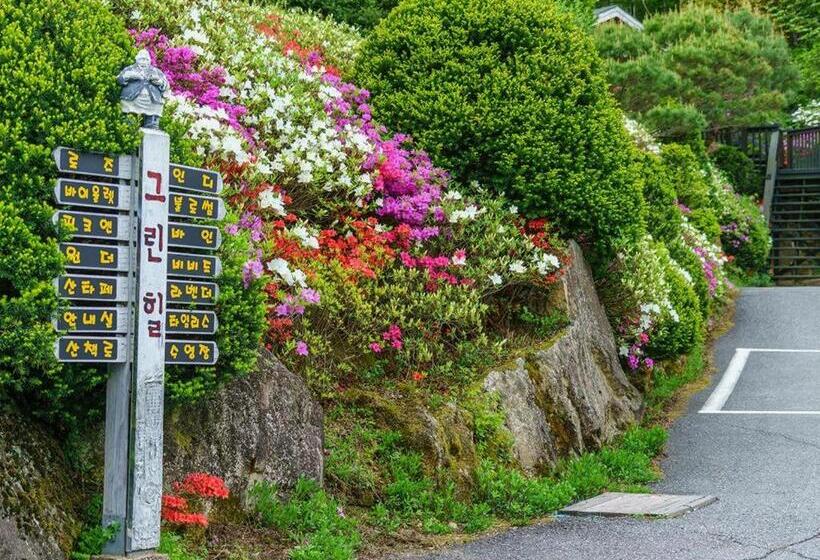 酒店 Greenhill Pension