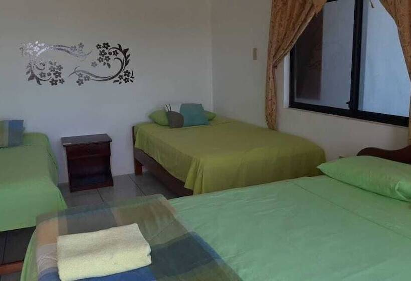 هتل Hostal Los Delfines