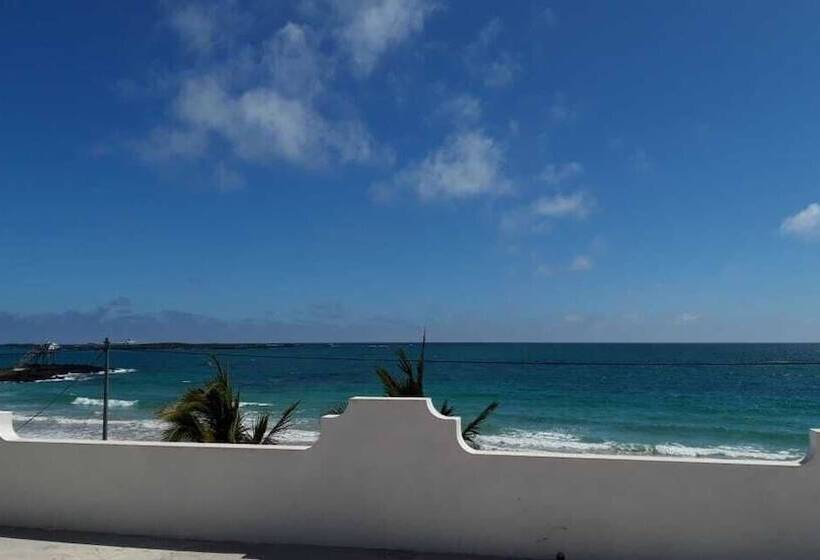 فندق Hostal Los Delfines