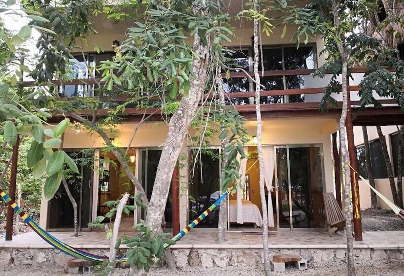 בית מלון כפרי Iguana Rana Cabins Bacalar