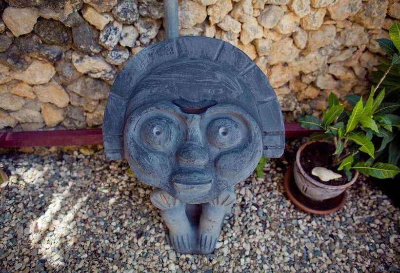 בית מלון כפרי Kite Beach Inn