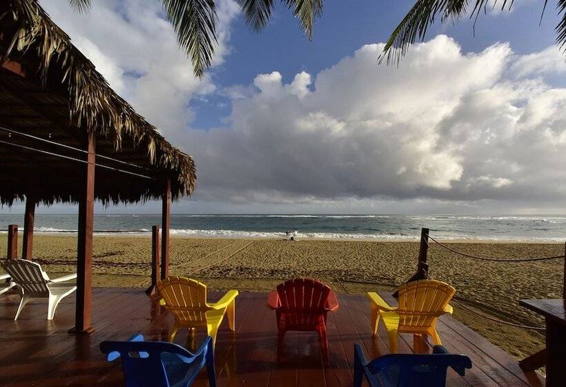 בית מלון כפרי Kite Beach Inn