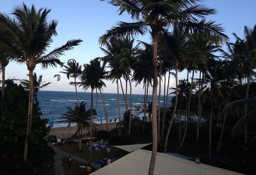 בית מלון כפרי Kite Beach Inn