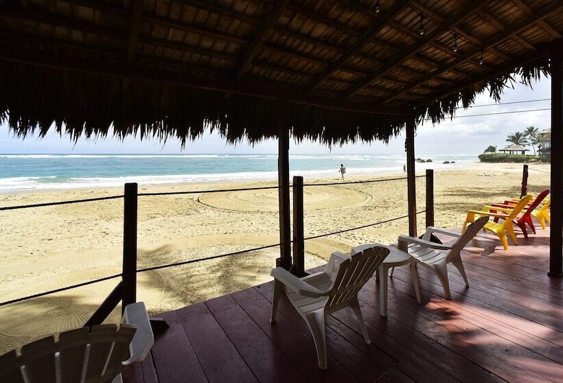 בית מלון כפרי Kite Beach Inn