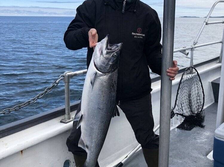 فندق Kodiak Compass Suites