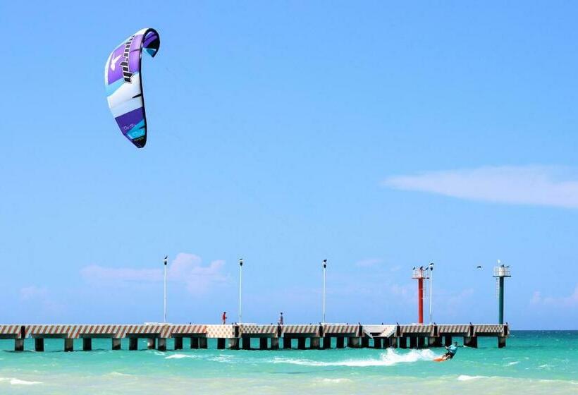 בית מלון כפרי La Casa Cielo