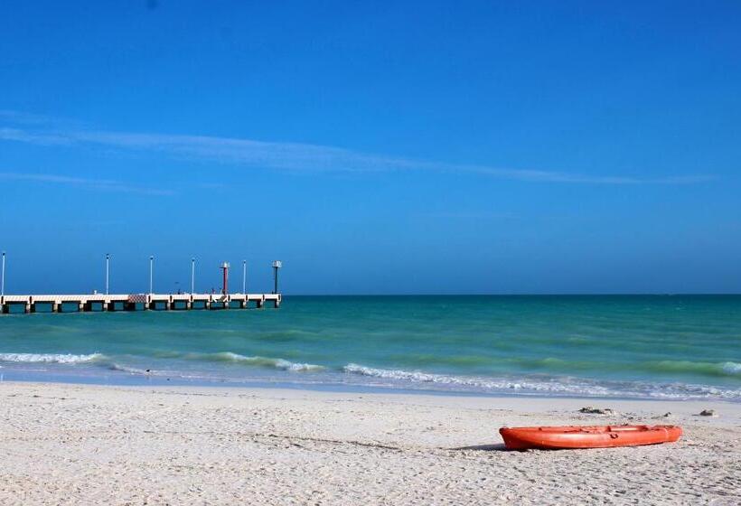 בית מלון כפרי La Casa Cielo