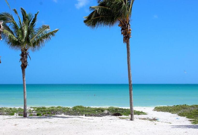 בית מלון כפרי La Casa Cielo