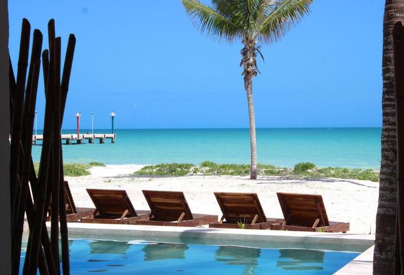 בית מלון כפרי La Casa Cielo