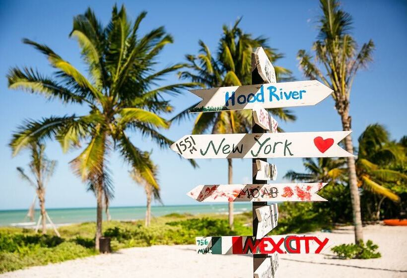 בית מלון כפרי La Casa Cielo