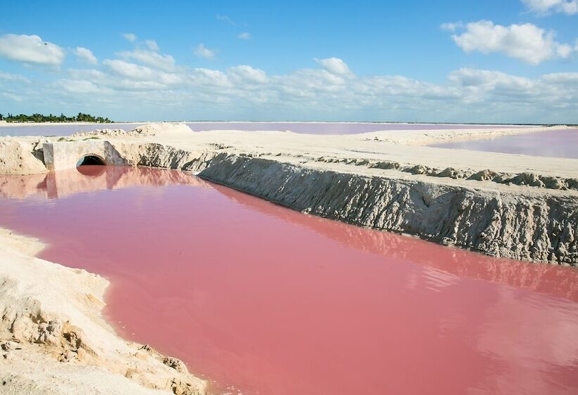 בית מלון כפרי La Casa Cielo