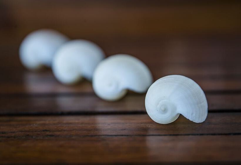 בית מלון כפרי La Casa Cielo