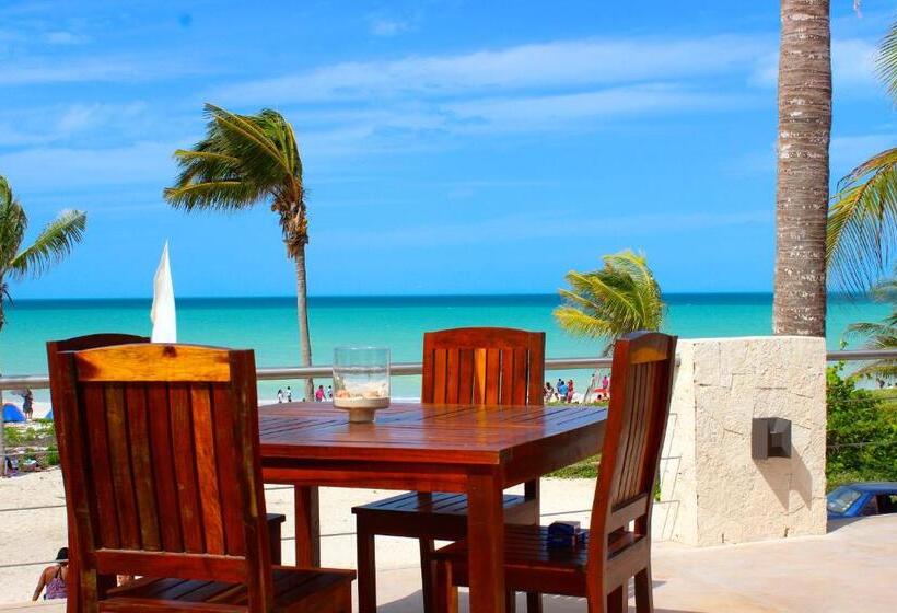 בית מלון כפרי La Casa Cielo