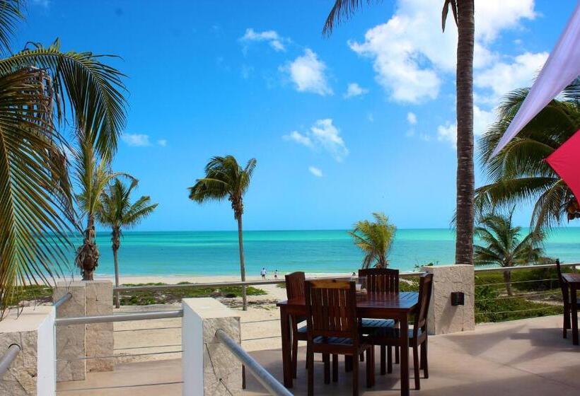 בית מלון כפרי La Casa Cielo