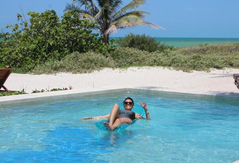 בית מלון כפרי La Casa Cielo