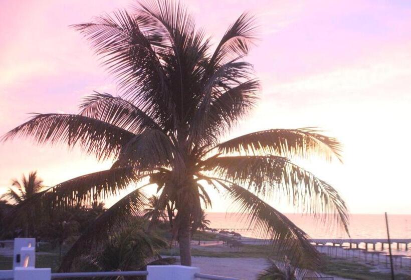 בית מלון כפרי La Casa Cielo