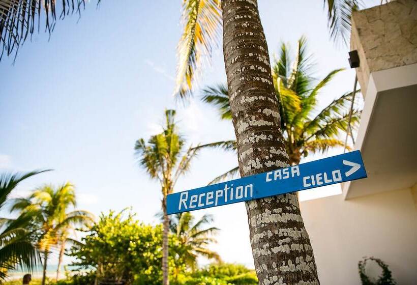 בית מלון כפרי La Casa Cielo