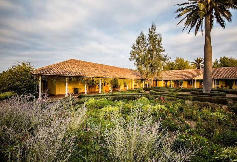 ホテル La Casona At Matetic Vineyards