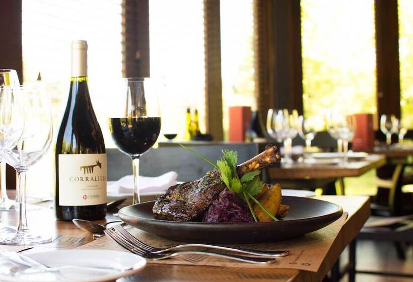 ホテル La Casona At Matetic Vineyards