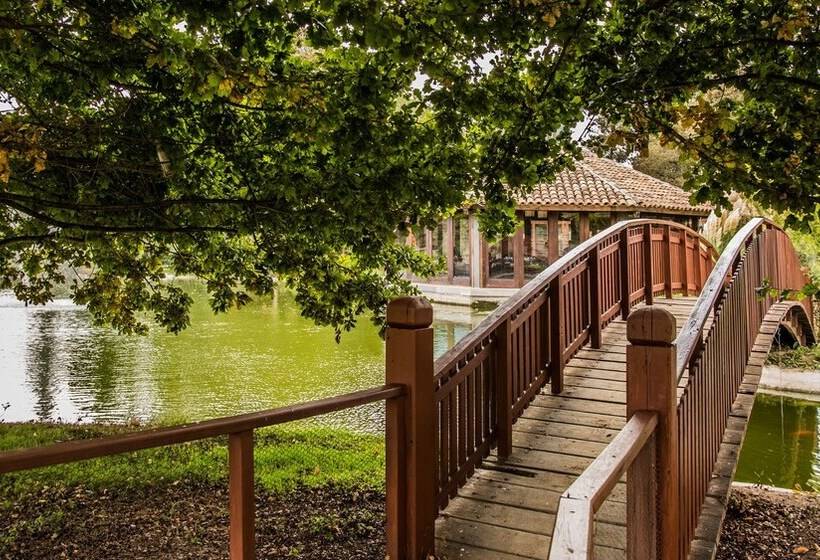 ホテル La Casona At Matetic Vineyards