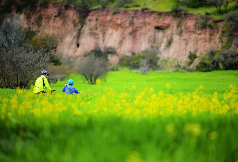 ホテル La Casona At Matetic Vineyards