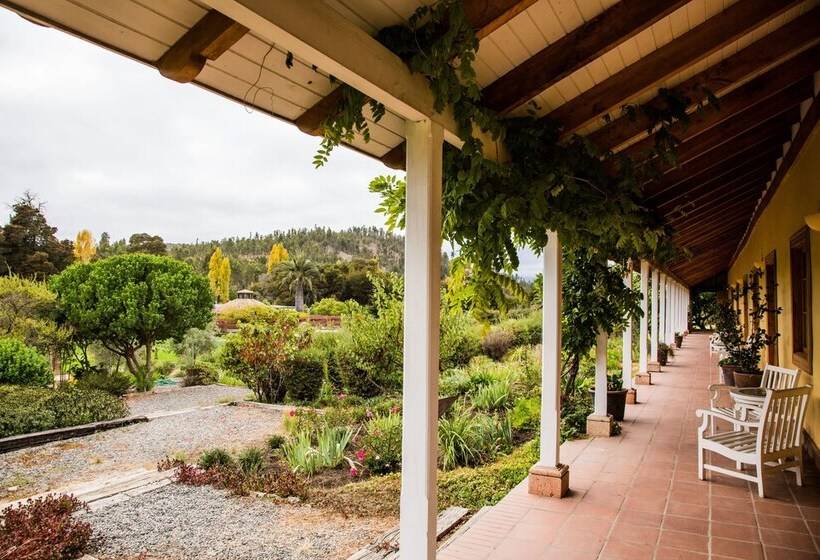 ホテル La Casona At Matetic Vineyards