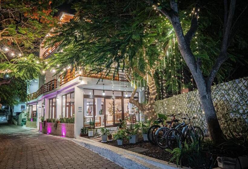 בית מלון כפרי La Isla