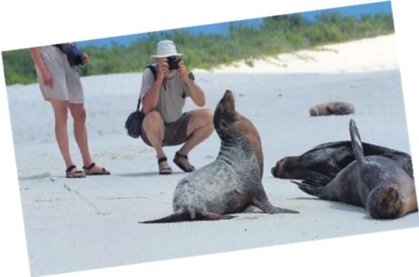 בית מלון כפרי La Isla