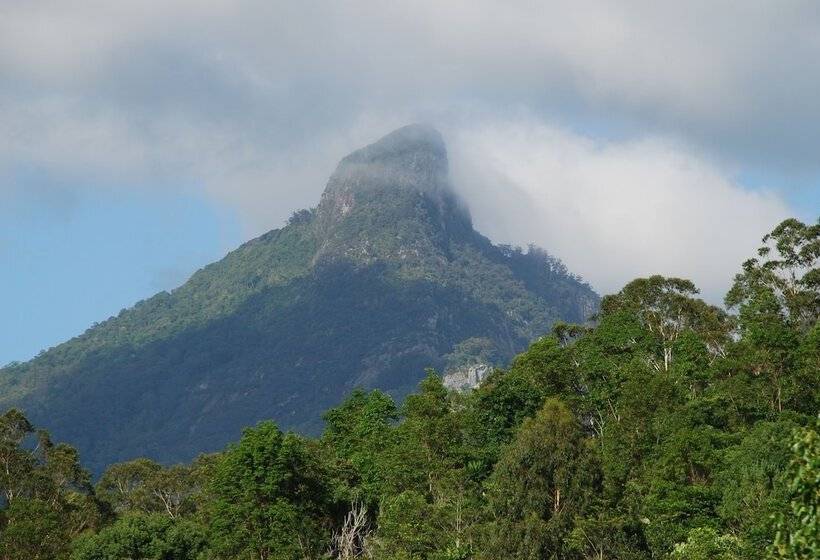 בית מלון כפרי Wollumbin Palms Rainforest Retreat