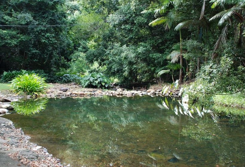 בית מלון כפרי Wollumbin Palms Rainforest Retreat