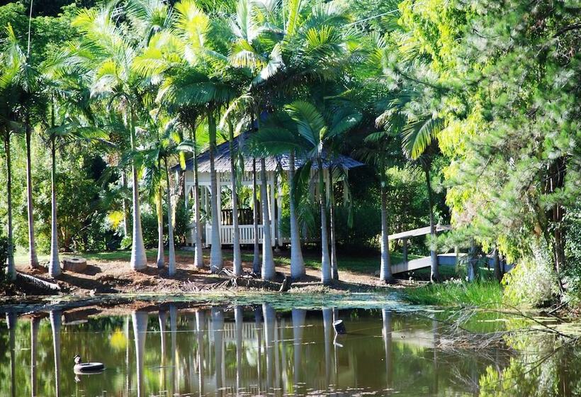בית מלון כפרי Wollumbin Palms Rainforest Retreat