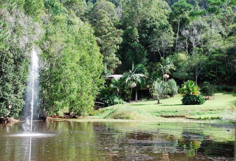 בית מלון כפרי Wollumbin Palms Rainforest Retreat