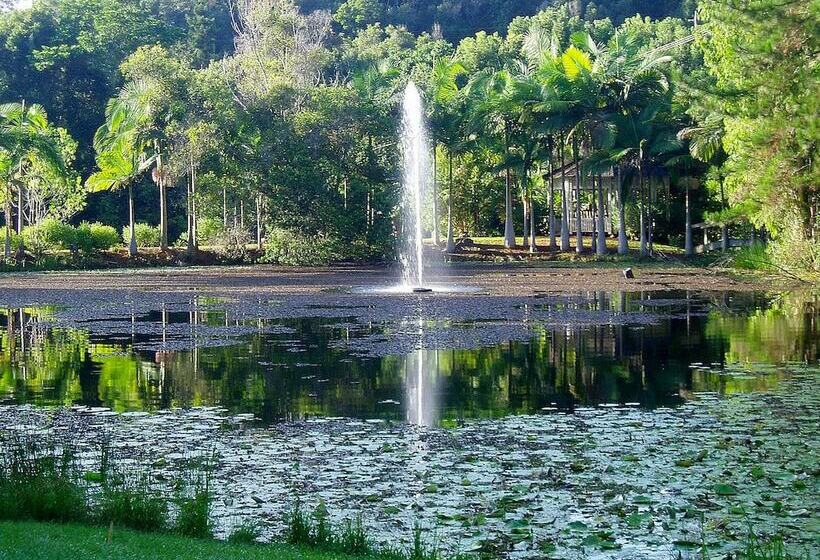 בית מלון כפרי Wollumbin Palms Rainforest Retreat