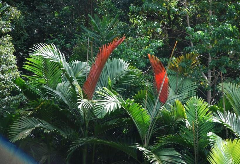 فندق Wollumbin Palms Rainforest Retreat
