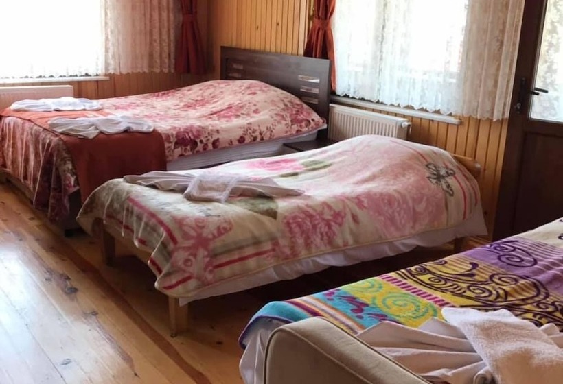 Отель Multat Karakaya