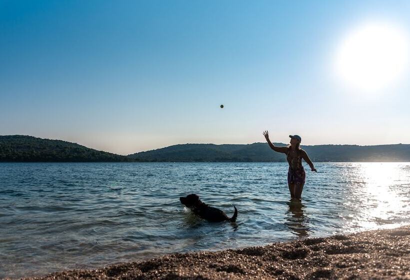 酒店 Olivia Green Camping