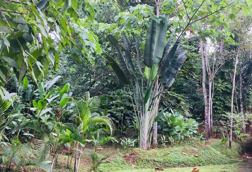 فندق Osa Tucan Drake