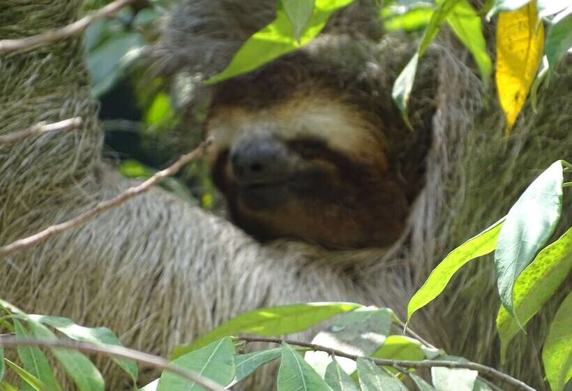 فندق Osa Tucan Drake