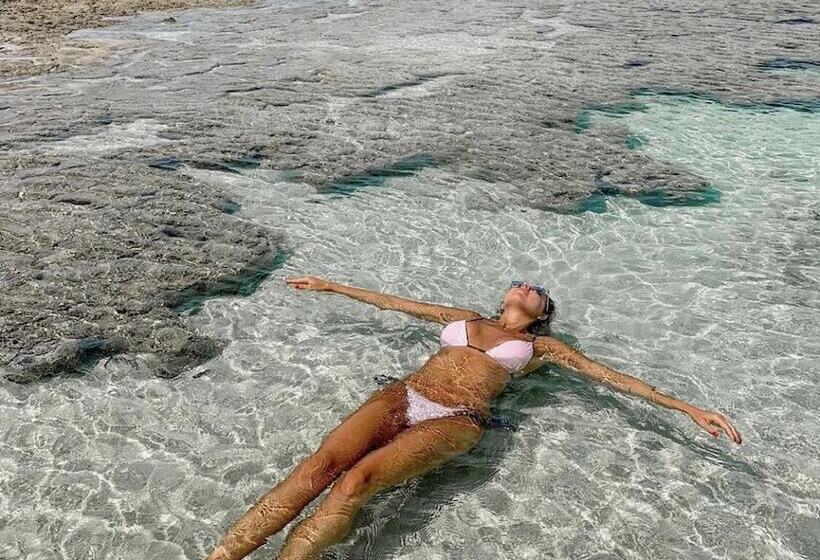 호텔 Paru Boutique