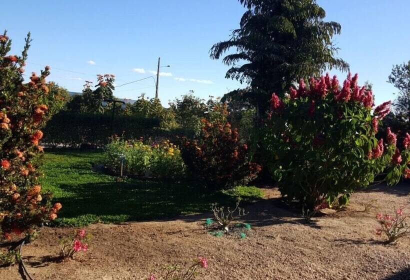 호텔 Pousada Buritis Do Jalapão